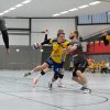 Oberliga Männer gegen SV Zweibrücken am 04.02.2018