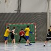 Oberliga Männer gegen KL-Dansenberg, 01.03.2020