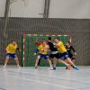 Oberliga Männer gegen KL-Dansenberg, 01.03.2020