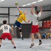 Oberliga Männer gegen HSG Völklingen, 03.03.2018