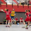 Oberliga Männer gegen HSG Völklingen