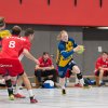 Oberliga Männer gegen HSG Völklingen