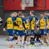 Oberliga Männer gegen HSG Völklingen