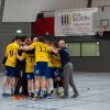 Oberliga Männer gegen HSG Völklingen, 13.04.2019