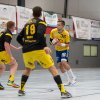 Oberliga Männer gegen VTV Mundenheim, 16.09.2017