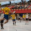 Oberliga Männer gegen MSG HF Illtal, 25.02.2015