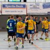 Rheinhessenliga Männer gegen SF Budenheim II, 15.04.2018